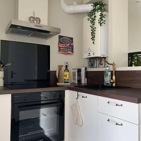 Hébergement de vacances Petite Maison De Charme Avec Exterieur Proche Gare Laval (Mayenne)